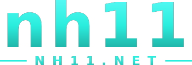 nh11 logo